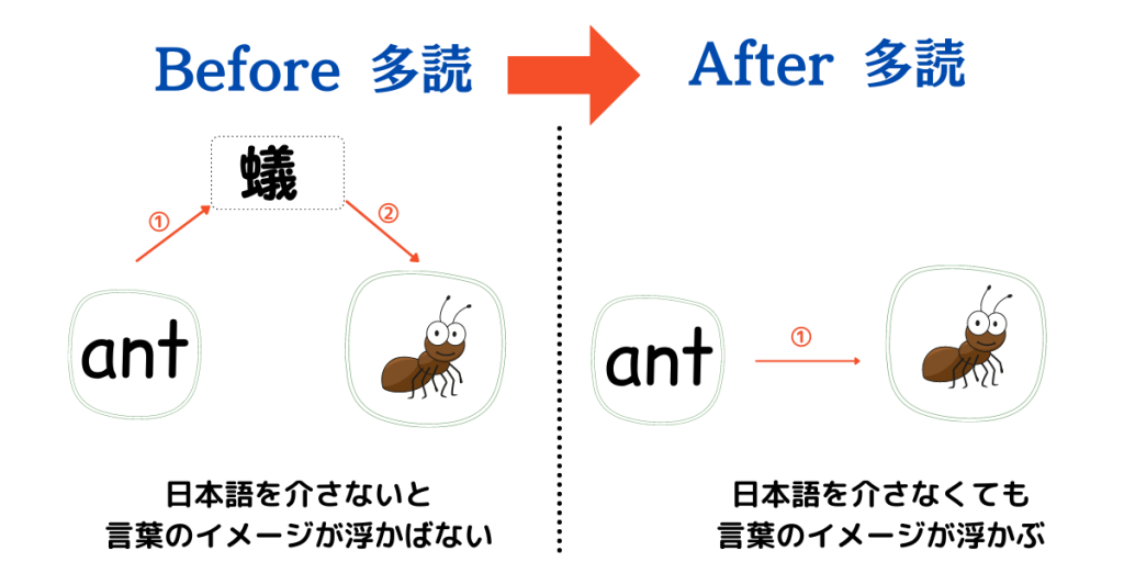英語多読